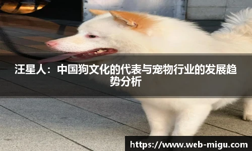 咪咕视频体育