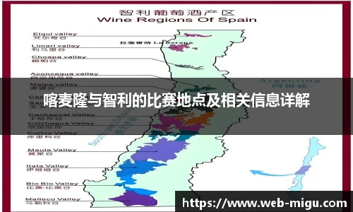 喀麦隆与智利的比赛地点及相关信息详解